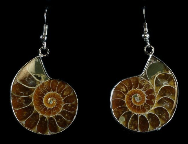 Fossil Ammonite Earrings - Million Years Old #35821